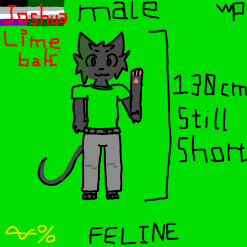 Joshua Ref Sheet